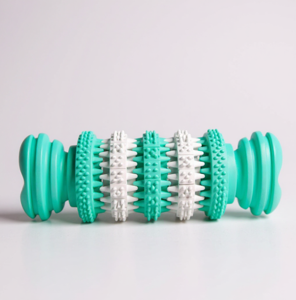 Trixie Denta Fun Osso C/ Menta 15cm